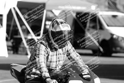 media/Mar-08-2025-TrackXperience (Sat) [[277b597a28]]/1-Around the Pits - Pre Grid/
